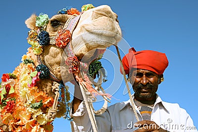 Camel on safari Stock Photo