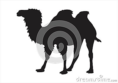 Camel silhouette Stock Photo