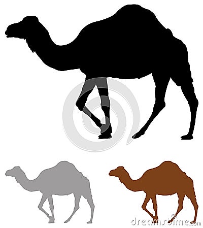 Camel silhouette Vector Illustration