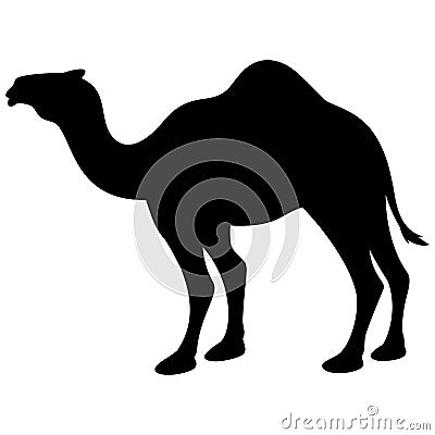 Camel Silhouette Vector Illustration