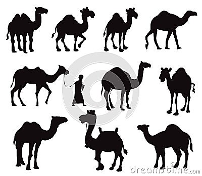 Camel silhouette with the wagon in dunes of Thar desert isolated on white background silhouettes Stock Photo