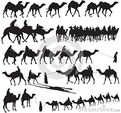 Camel Silhouettes Vector Illustration