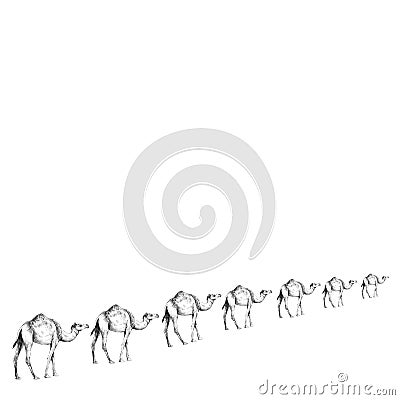 Camel sketch vector Vector Illustration