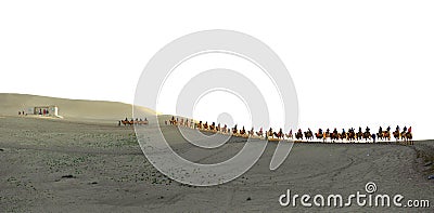 The camel train Stock Photo