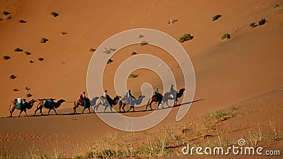 A camel train in Gobi desert Stock Photo