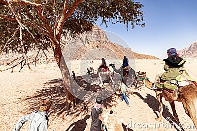 Camel trophy in Wadi Rum desert Editorial Stock Photo