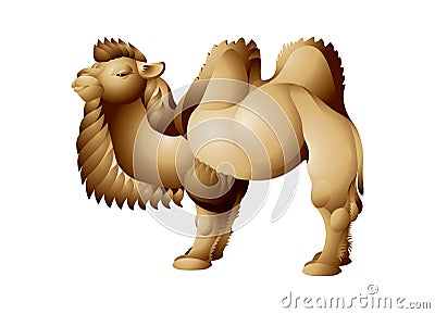 Camel with two humps, Bactrian Vector Illustration