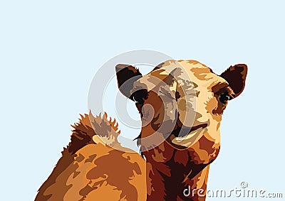 Camel Vector Art Design portrait Cartoon Illustration