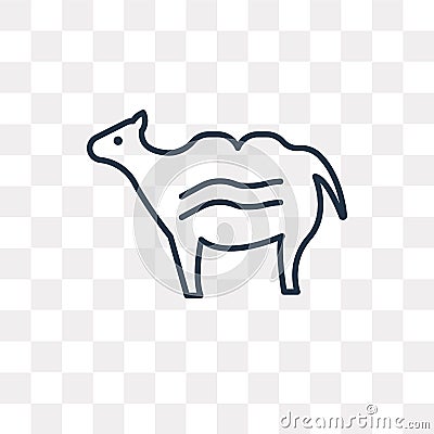 Camel vector icon isolated on transparent background, linear Cam Vector Illustration