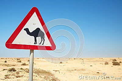 Camel warning sign Stock Photo