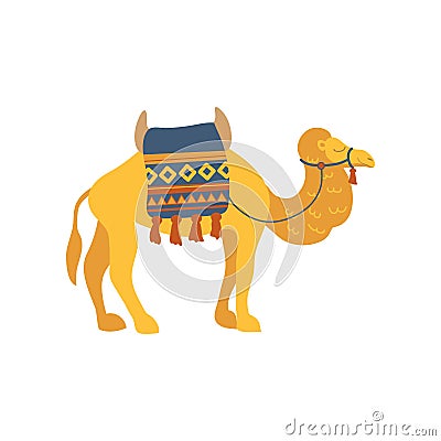 Camel whit saddle and cover on the back, two humped desert animal cartoon vector Illustration Vector Illustration