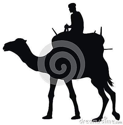 Cameleer Vector Illustration