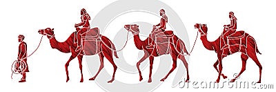 Cameleer with camels cartoon graphic Vector Illustration