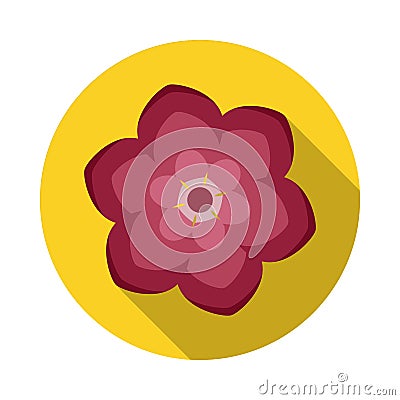 Camelia Flower Flat Icon with shadow Vector Illustration