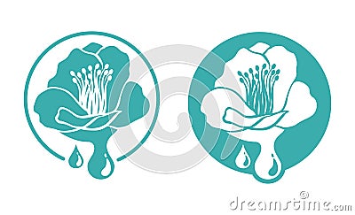 Tsubaki oil - Camelia Japonica extract icon Vector Illustration