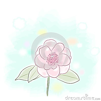 Camellia Vector Illustration