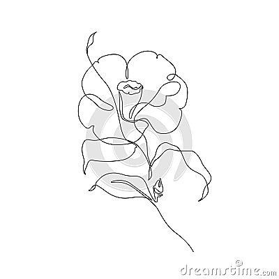 Camellia flower in continuous line drawing style Vector Illustration