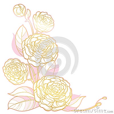 Vector corner bouquet with outline Camellia flower bunch, bud and leaf in pastel pink and gold isolated on white background. Vector Illustration