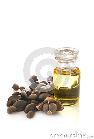 Camellia oil and nuts Stock Photo