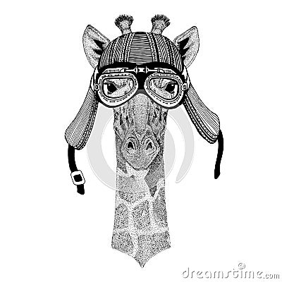 Camelopard, giraffe Hand drawn image of animal wearing motorcycle helmet for t-shirt, tattoo, emblem, badge, logo, patch Stock Photo