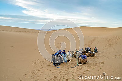 Camels and Bedouins resting on the dunes of Sahara Desert, Africa Editorial Stock Photo
