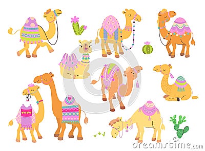 Camels characters cartoon set. Desert animals, funny camel with carpet and saddle. Arabian animal, children cute nowaday Vector Illustration