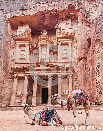 Camels in front of the Al Khazneh temple (The Treasury) in the ancient city Petra, Jord Stock Photo