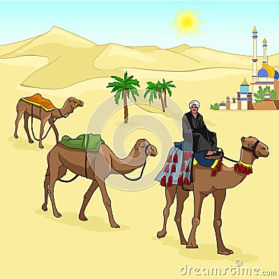 Camels go on desert sun. Cameleer sits on the hump. Vector Illustration