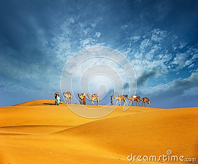 Camels travel through sand of desert dunes. Adventure journey Stock Photo