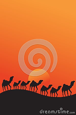 Camels walking in desert sunset Vector Illustration