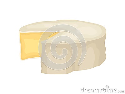 Camembert cheese on white background. Vector illustration. Vector Illustration