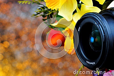 Camera lens, summer flowers on the background of rainbow lights bokeh. Lensâ€”creates an artistic image. Garden summer flowers Stock Photo