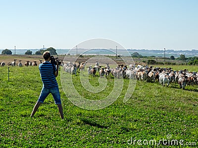 Cameraman with digital cinema camera Editorial Stock Photo