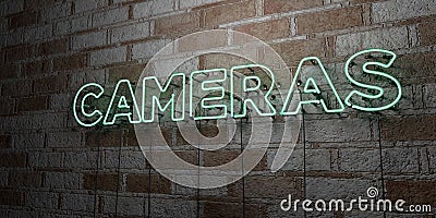 CAMERAS - Glowing Neon Sign on stonework wall - 3D rendered royalty free stock illustration Cartoon Illustration