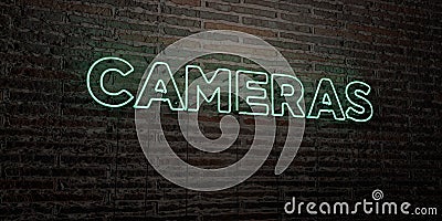 CAMERAS -Realistic Neon Sign on Brick Wall background - 3D rendered royalty free stock image Stock Photo