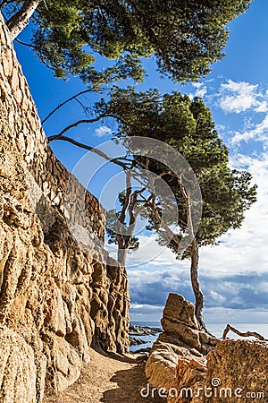 Cami de ronda Stock Photo