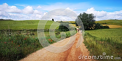 Camino de Santiago / Day 6 / Breathtaking Landscape Idyll in Navarra, Spain Stock Photo