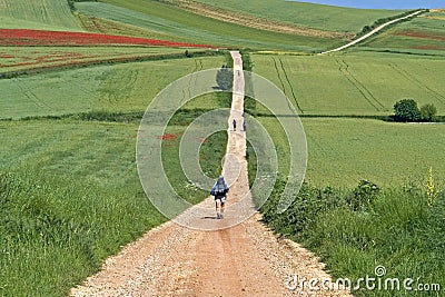 Camino Frances hiking pilgrims in rural landscape Editorial Stock Photo