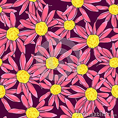 Camomile background. Pattern with daisy. Print for textile, vector. Vector Illustration