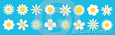 Camomile big line set. White daisy chamomile icon. Cute round flower plant collection. Love card sign symbol. Growing concept. Vector Illustration