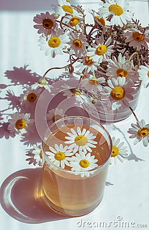 Camomile blshy, a camomile field, tea from a camomile, tea in a glass, yellow tea from a camomile in a glass Stock Photo