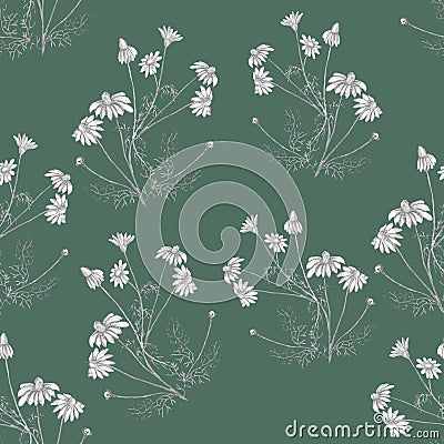 Wild camomile floral hand drawn pattern on greyish green background Cartoon Illustration