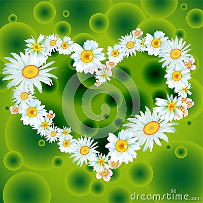 Camomile heart Vector Illustration