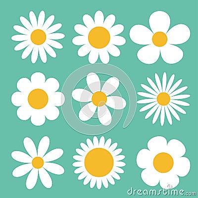 Camomile set. White daisy chamomile icon. Cute round flower plant collection. Love card symbol. Growing concept. Flat design. Gree Vector Illustration