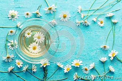 Camomile tea in a teapot, floral infusion to heal and relax, natural treatment Stock Photo