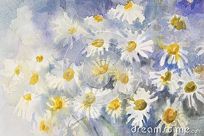 Camomile watercolor background Stock Photo