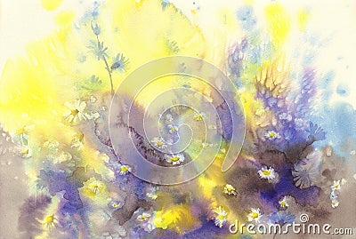 Camomile watercolor background Stock Photo