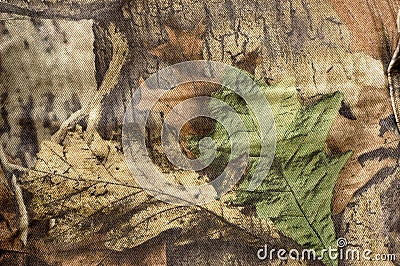 Camouflage Stock Photo