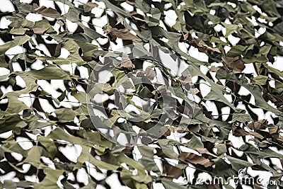 Camouflage Netting Stock Photo