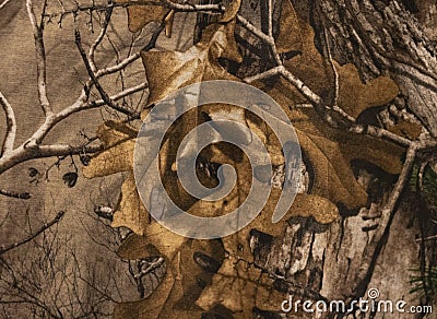 A Camouflage Pattern Close Up Stock Photo